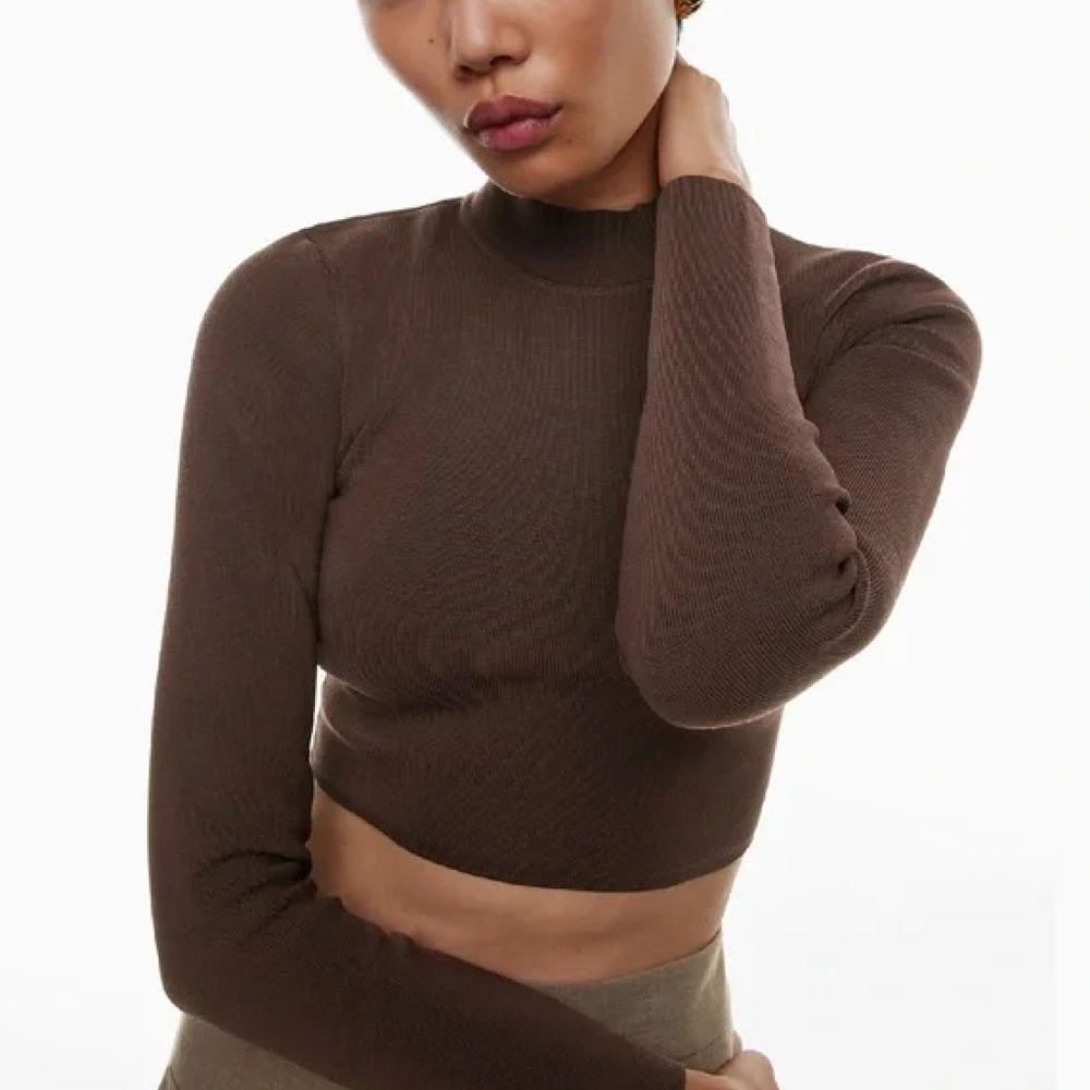 Aritzia Babaton Scuplt Knit brown crop top